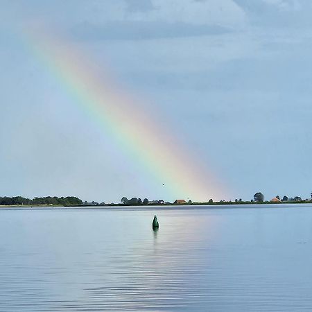 Welkom In Mijn Studio Bij Het Snekermeer ! Offingawier Esterno foto